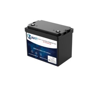 Three Watt LifePO4 Battery 12.8V - 100Ah LSS